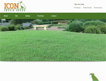 Tablet Screenshot of iconzoysia.com